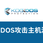 koddos测评